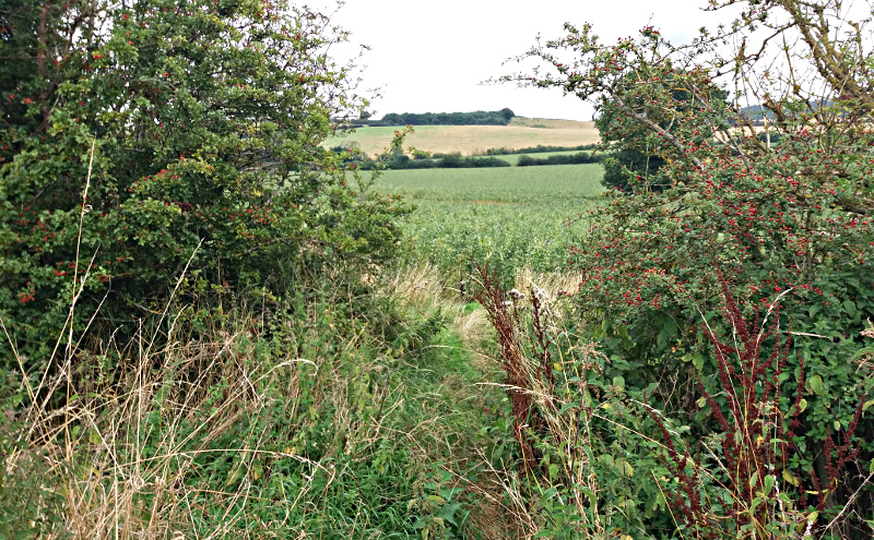 Waypoint 25